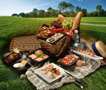 تغذيه در سفر